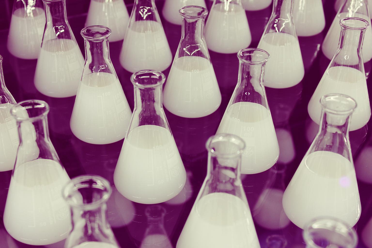 Erlenmeyer flasks